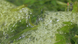 艾草葉放入煮沸的水中，加點食用堿，待變成深綠色時撈出，放入冰水中，瀝干備用。