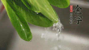 燒一鍋開水，滴一點油，水開后汆燙青菜至斷生即可。